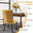 Milva Velvet Dining Chairs Upholstered High-end Tufted Dining Room Chair with Nailhead Back Ring-291755007