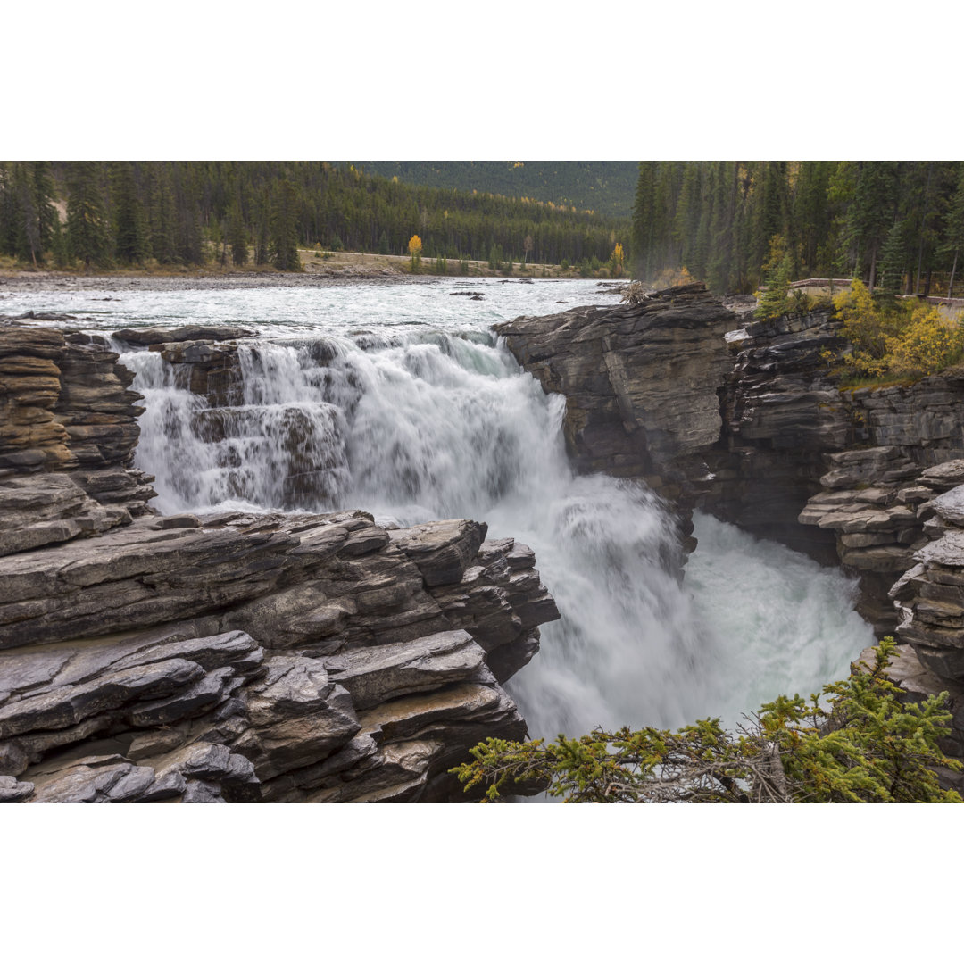 Athabasca Falls Waterfall Jasper von Spondylolithesis - Leinwanddrucke auf Leinwand