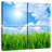 Harnek Grass Field Under Blue Sky