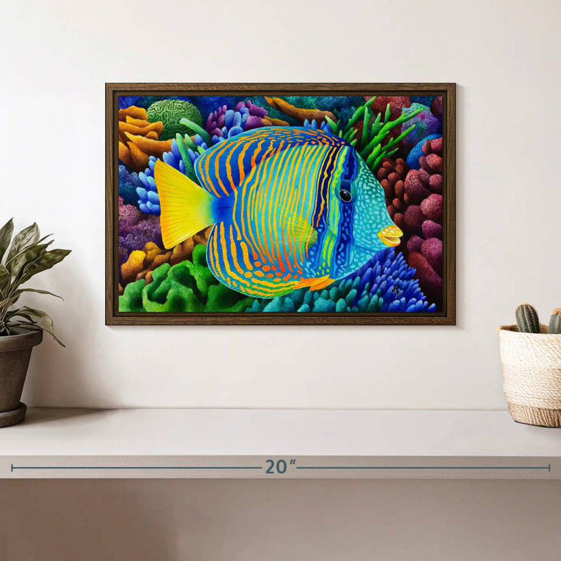 Sailfin Tang, 13 po x 9 po, Cadre flottant noyer