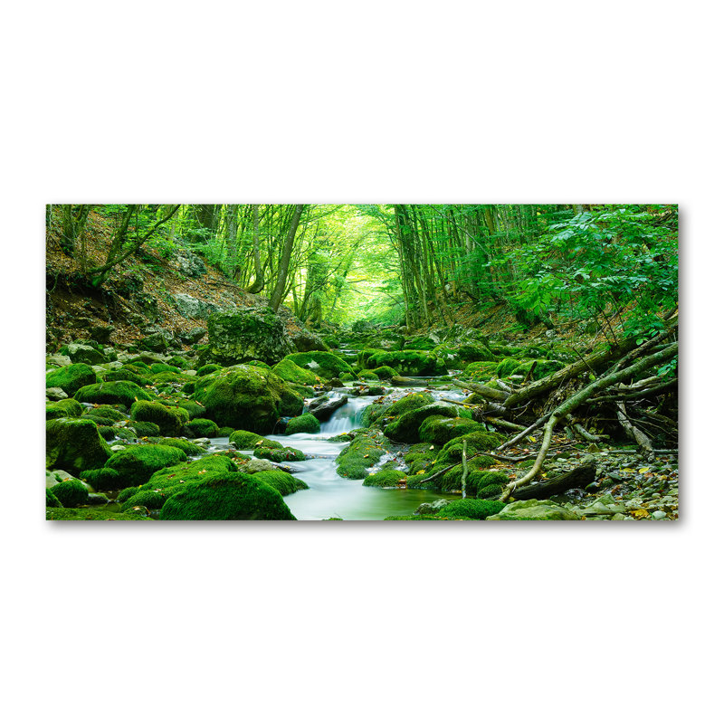Stream in the Forest - Wrapped Canvas Art Prints