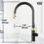 Robinet de cuisine à douchette extractible 2 fonctions H 19 po Bristol-100097142