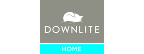 Downlite Logo