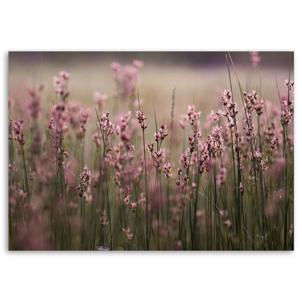 Leinwandbild Rosa Feldblumen