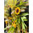 Faux Sunflower Polyester 24'' Wreath