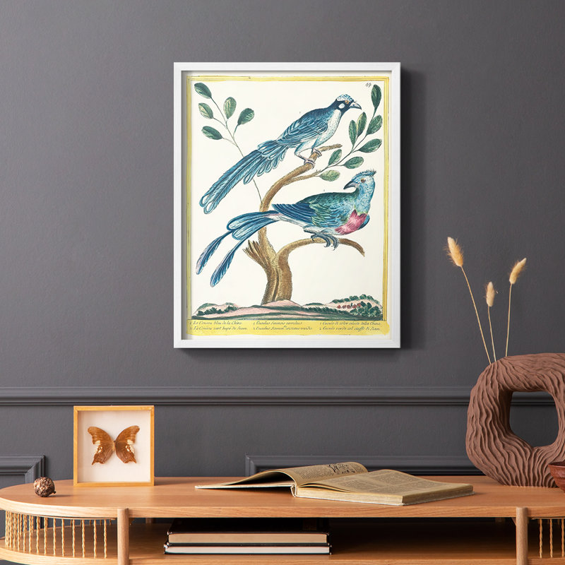 «Pastel Birds VI», reproduction encadrée - bois massif, H 14 po x l 11 po, Blanc