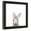 Art encadré en lapins forestières-48188934-48188939