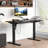 Electric Standing Desk, Adjustable Height Stand Up Desk, Ergonomic Rising Computer Table With Memory Preset, Sit Stand Up Desktop For Home Office
