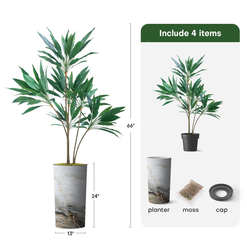 66 plantes, Granit brun clair