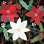 Mod Holiday V par Veronique Charron - impression