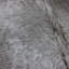 Cowhide Rug Exotic Champagne