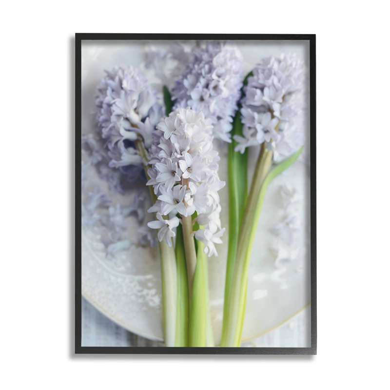 Lilas, nature morte, photographie de nature, fleurs de printemps, H 30 po x l 24 po x P 1,5 po, Giclée encadrée noir minuit
