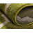 Molly Geometric Indoor Rug-677456833