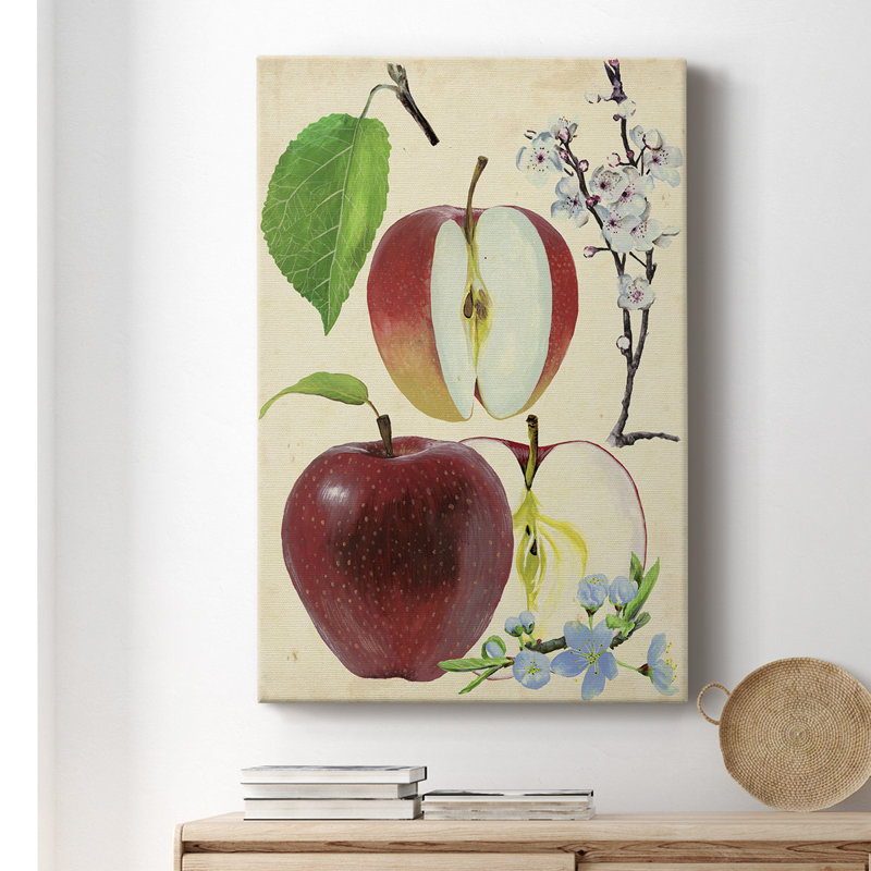 «Apple and Blossom Study II», impression sur toile tendue, H 18 po x l 12 po x P 1 po