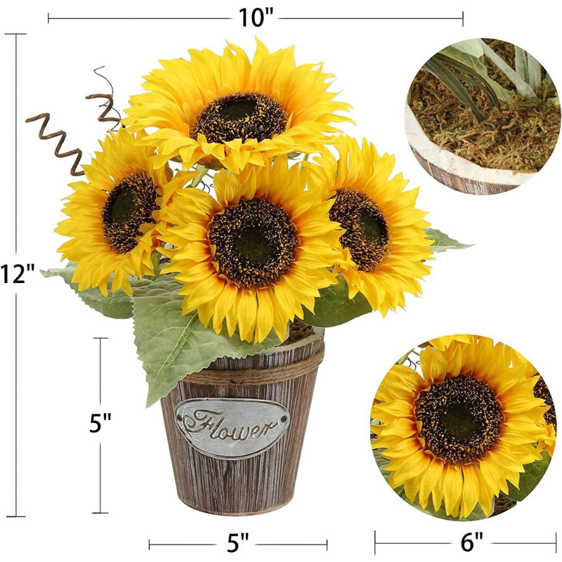 10 plantes