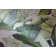 Tropical Collection 4 Panel Wall Mural 8.8' L x 110.2" W in A Tropical Forest Design