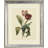 Tulips III - Single Picture Frame Print on Canvas