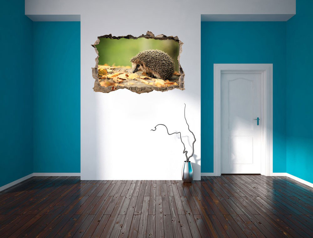 Niedlicher Igel im Laub Wandsticker