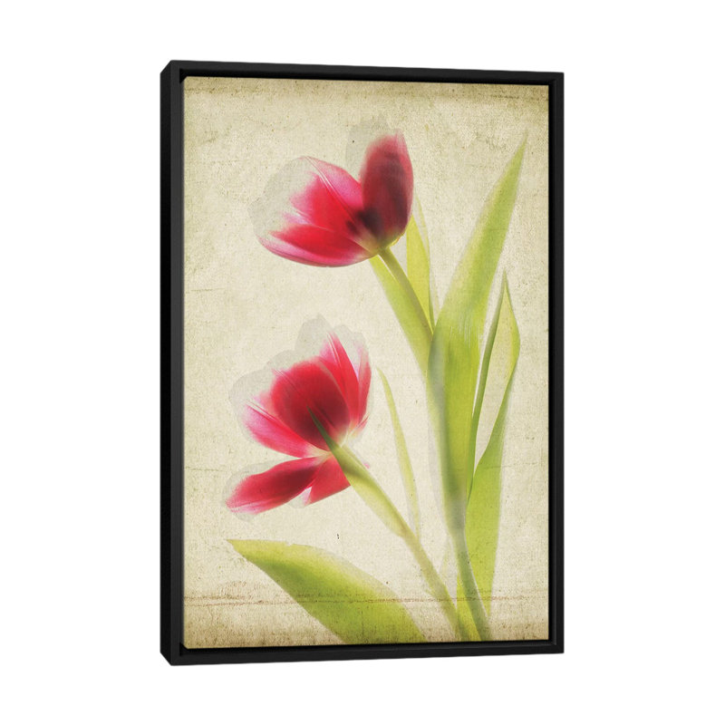 « parchemin florals iii », impression sur toile, H 26 po x l 18 po x P 1,5 po, Toile avec cadre flottant noir, Pas de tapis