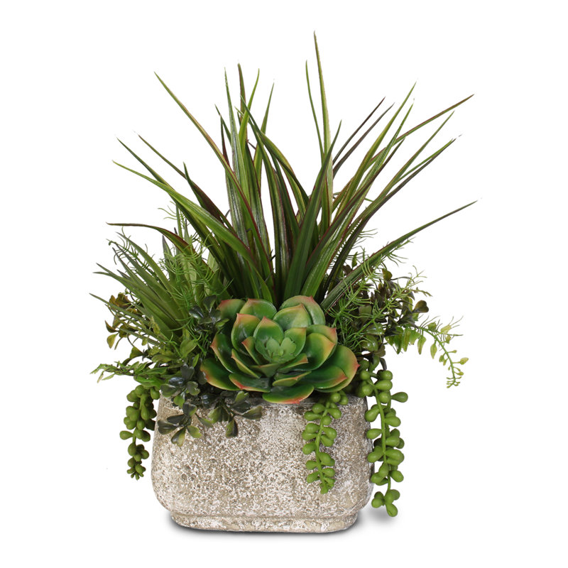 Brayden Studio® 11'' Faux Succulent Plant in Stone Pot & Reviews | Wayfair