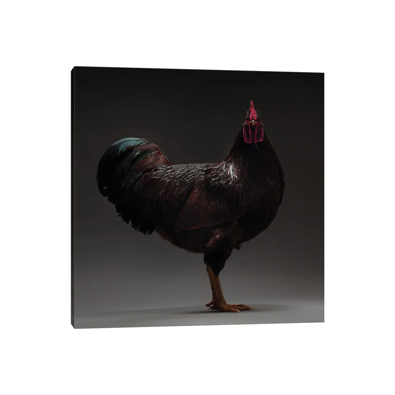 Rhode Island - Wrapped Canvas Print, 30.48 cm H x 30.48 cm W