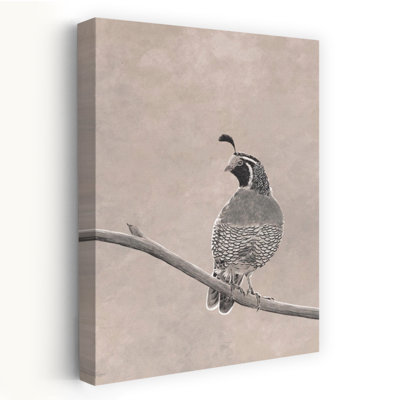 Croquis de caille, art d'oiseau contemporain