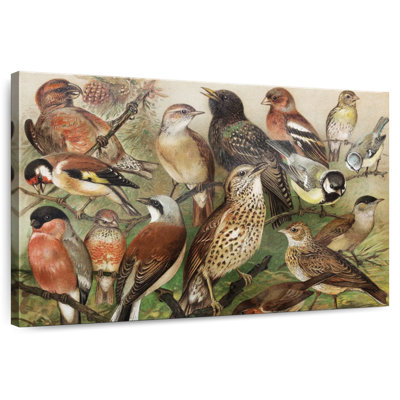 Botanical Birds Collection I