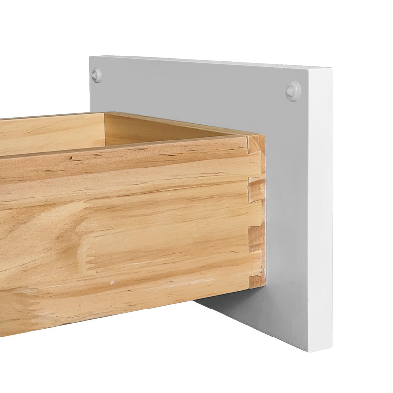 Armoire simple en bois massif à une porte avec tablettes réglables pour la cuisine et le salon, charnière à fermeture en douceur, assemblage facile par clic, caoutchouc, tiroir, 18 po de largeur, 34,5 po de hauteur, 24 po de profondeur