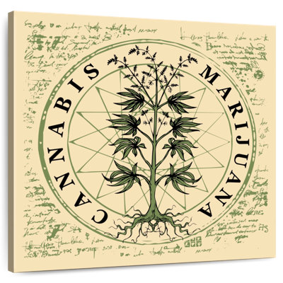 Harnek Legalize Marijuana