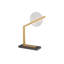 Zahar LED Desk Table Lamp