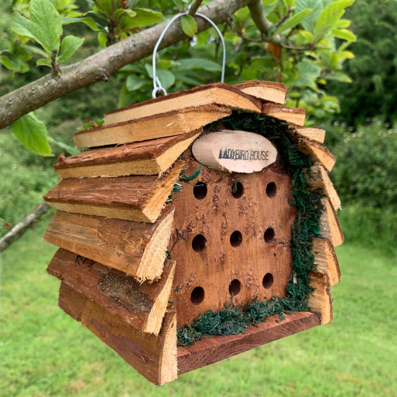 Ehsan Hanging Ladybird House