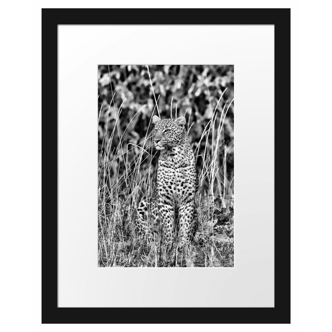 Anmutiger Leopard im hohen Gras Gerahmter Fotokunstdruck