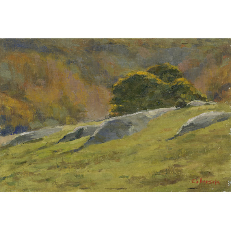 'Old Lyme' by Stephen Calcasola - Painting Print, 51cm H x 76cm W, Wrapped Canvas