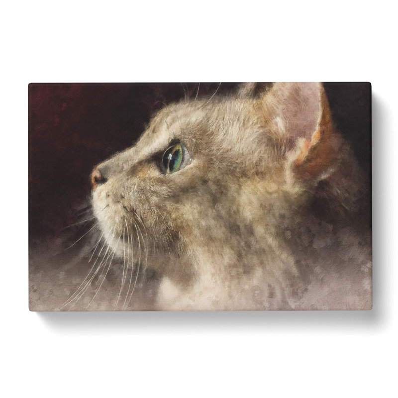 Curious Cat - Wrapped Canvas Painting, 60cm H x 91cm W x 3cm D