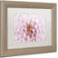« rose dahlia », reproduction de photo sur toile encadrée-32709138-32709141