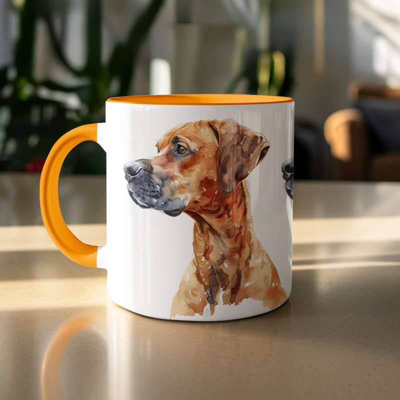 Mug, 2, Orange