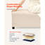 Upholstered Foam and Medium Density Fiberboard (MDF) Storage Bench-1850854897