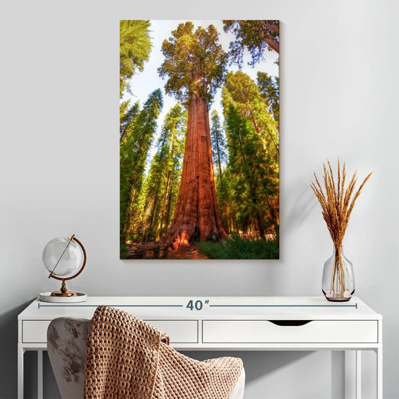 Harnek Redwood Tree Grove, 30" H x 20" W