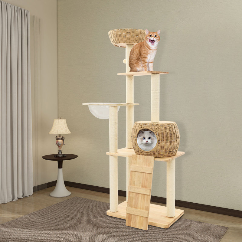 Arbre à chat à plusieurs niveaux, structure d'escalade pour chats d'intérieur