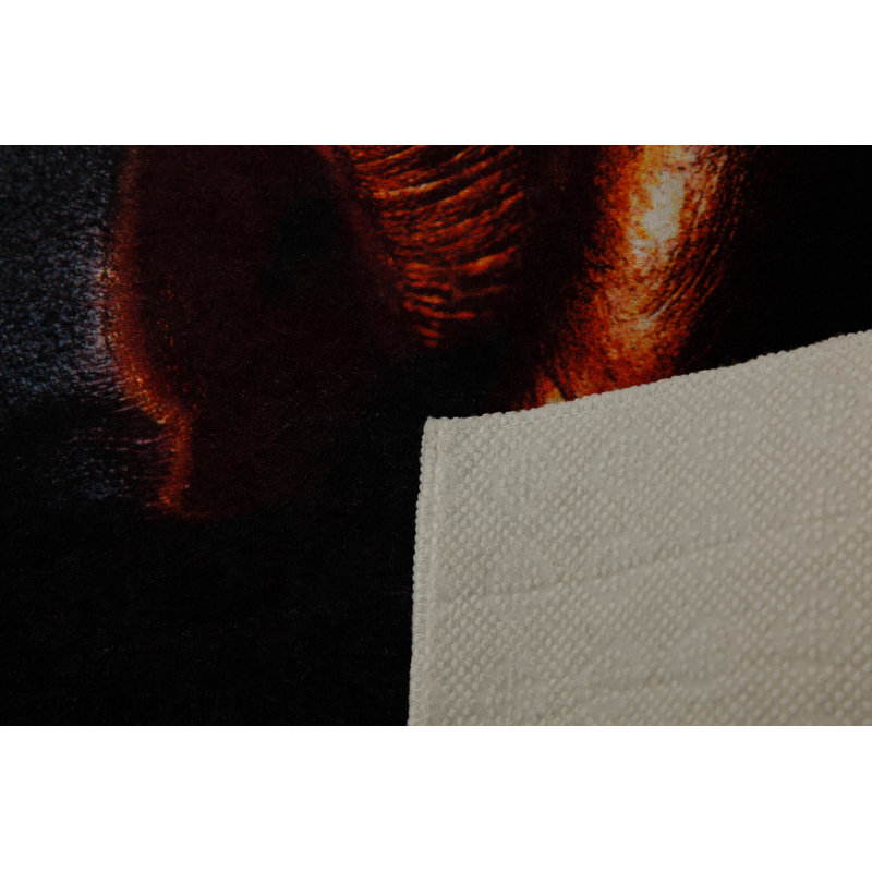 Premium Hall Carpet, 3D Digital Printed, 39.4 x 59.1 Inches | 100% Polyester, Antibacterial, Non-Slip Underside | Pile Height: 0.04 Inches, Machine Washable, Ideal for Living Room & Entryway Decor