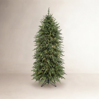 Arbre Norfolk 5 '3m