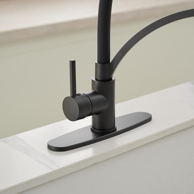 Single-Handle Pull-Down Sprayer 1 Spray High Arc Kitchen Faucet, Matte Black