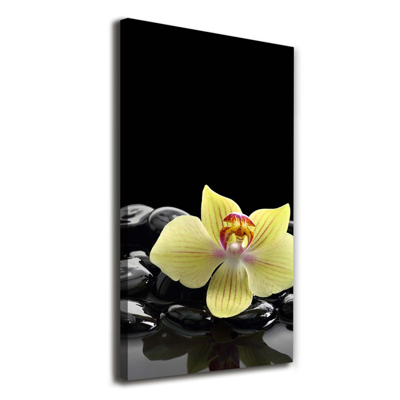 White Orchid - Wrapped Canvas Print
