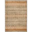 Tapis Braswell Performance Southwestern-19263337