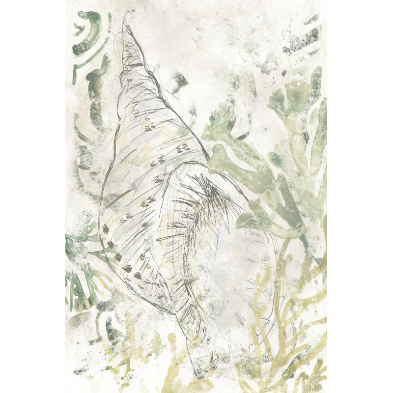 Verdant Shell Fresco II by June Erica Vess - Wrapped Canvas Painting, 122cm H x 81cm W