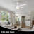 Terianna 52'' Ceiling Fan with Light Kit-1172549637