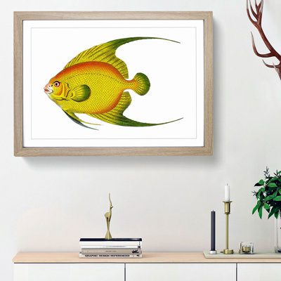 Golden Butterflyfish by George Shaw - Framed Print