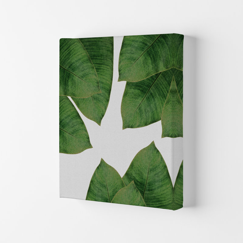 Banana Leaf I - Print, 42cm H x 29.7cm W x 4cm D, Wrapped Canvas
