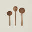 Cooking Spoon