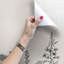 Baldovino 2.5m x 1.04m Matte Mural-126570135